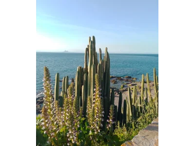 Camino de punta Almina, vista del Peñon de Gibraltar
