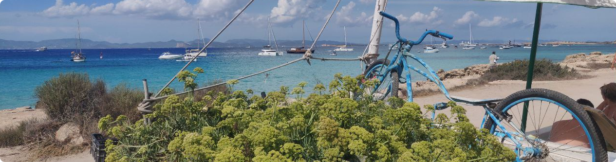 Un lugar cualquiera de Formentera